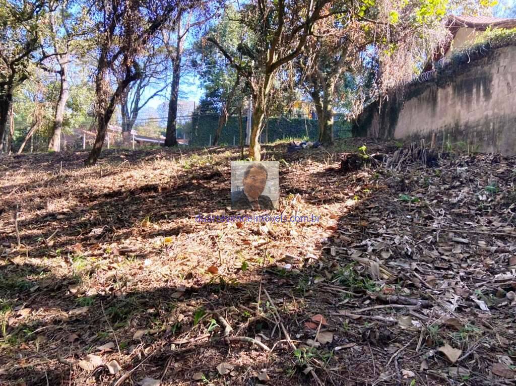 Terreno, 2334 m² - Foto 3