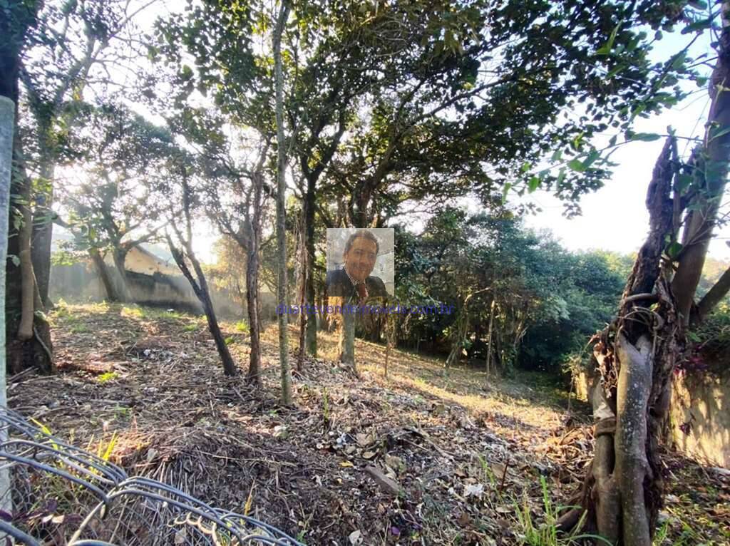 Terreno, 2334 m² - Foto 6