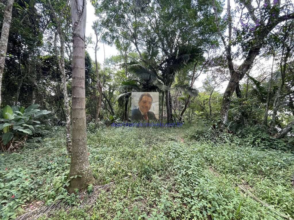 Chácara à venda com 4 quartos, 209m² - Foto 49