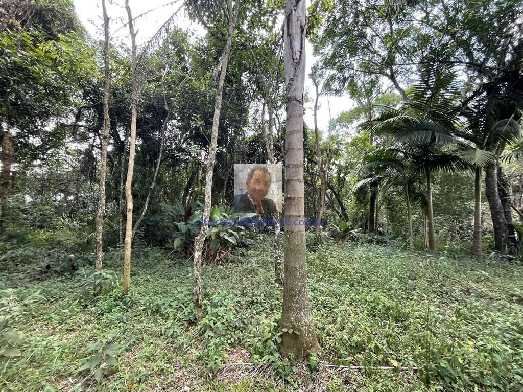 Chácara à venda com 4 quartos, 209m² - Foto 50
