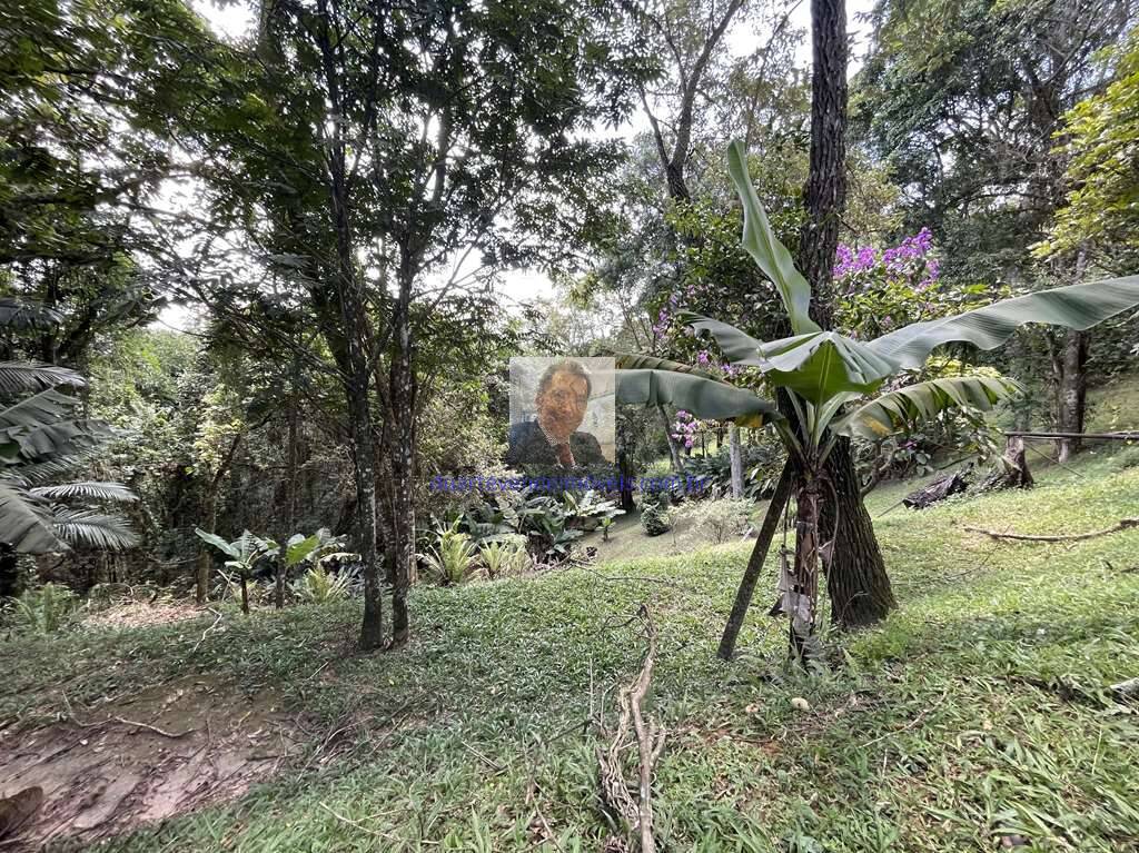 Chácara à venda com 4 quartos, 209m² - Foto 54