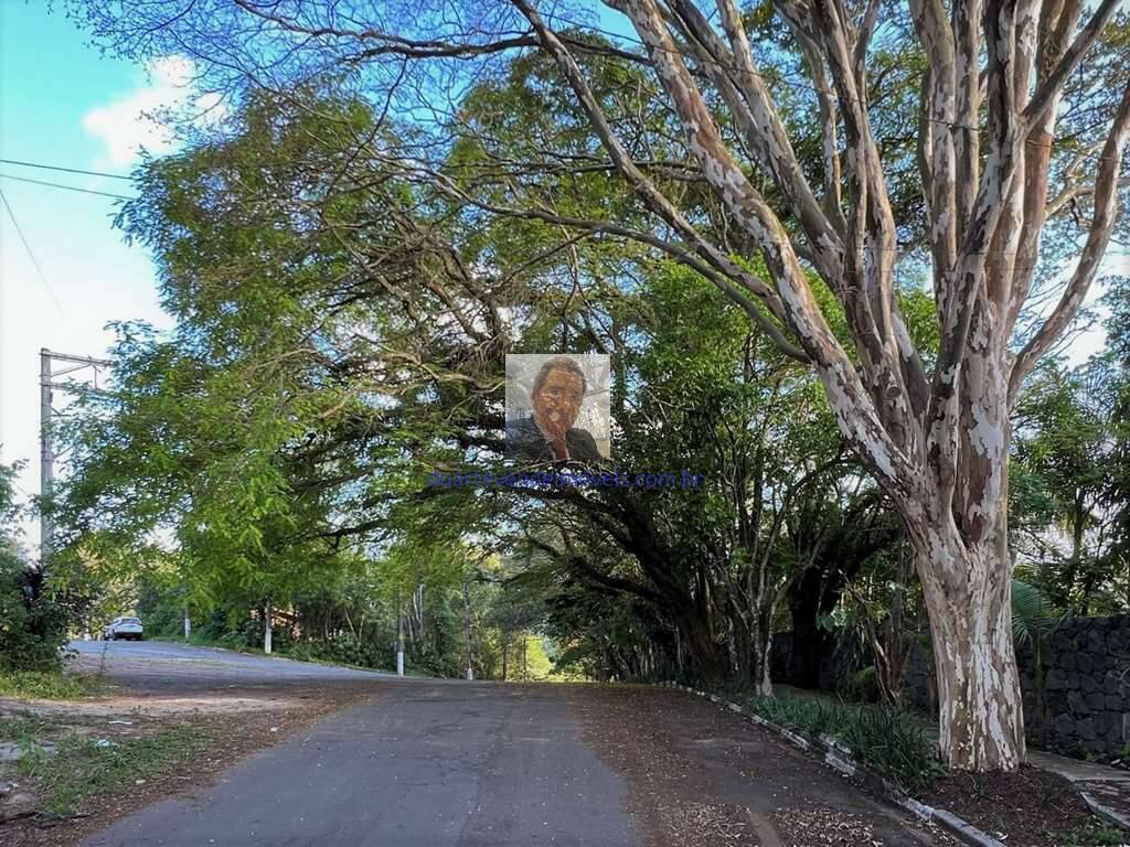 Casa, 5 quartos, 382 m² - Foto 6