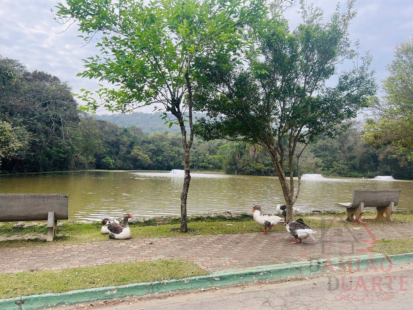 Casa de Condomínio, 4 quartos - Foto 80