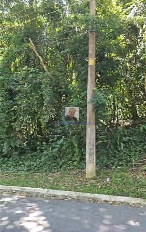 Terreno, 480 m² - Foto 5