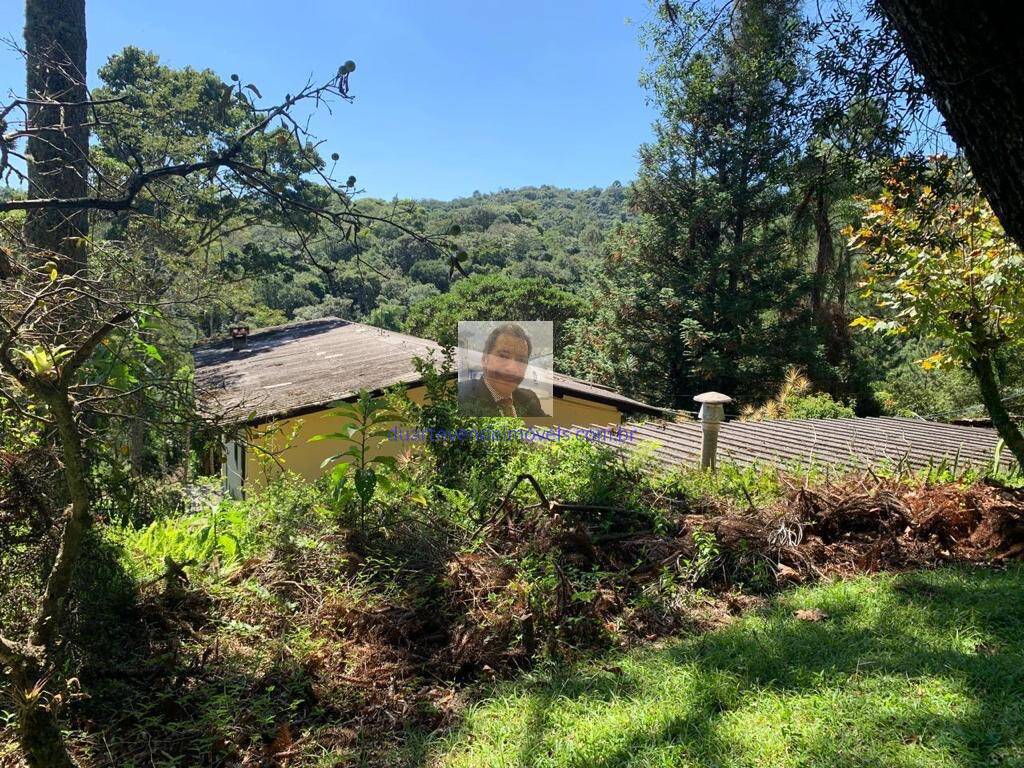 Sítio à venda com 3 quartos, 340m² - Foto 6