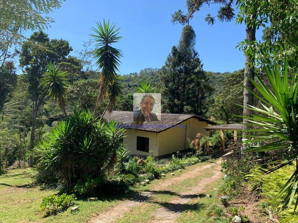Sítio à venda com 3 quartos, 340m² - Foto 7