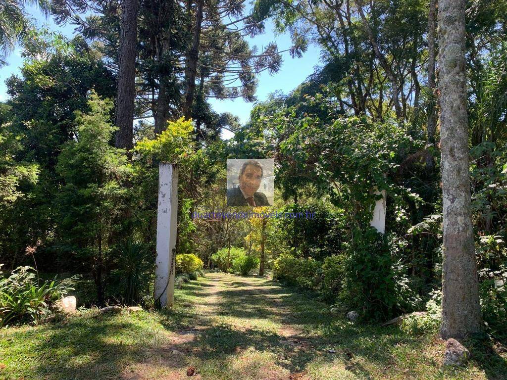 Sítio à venda com 3 quartos, 340m² - Foto 10