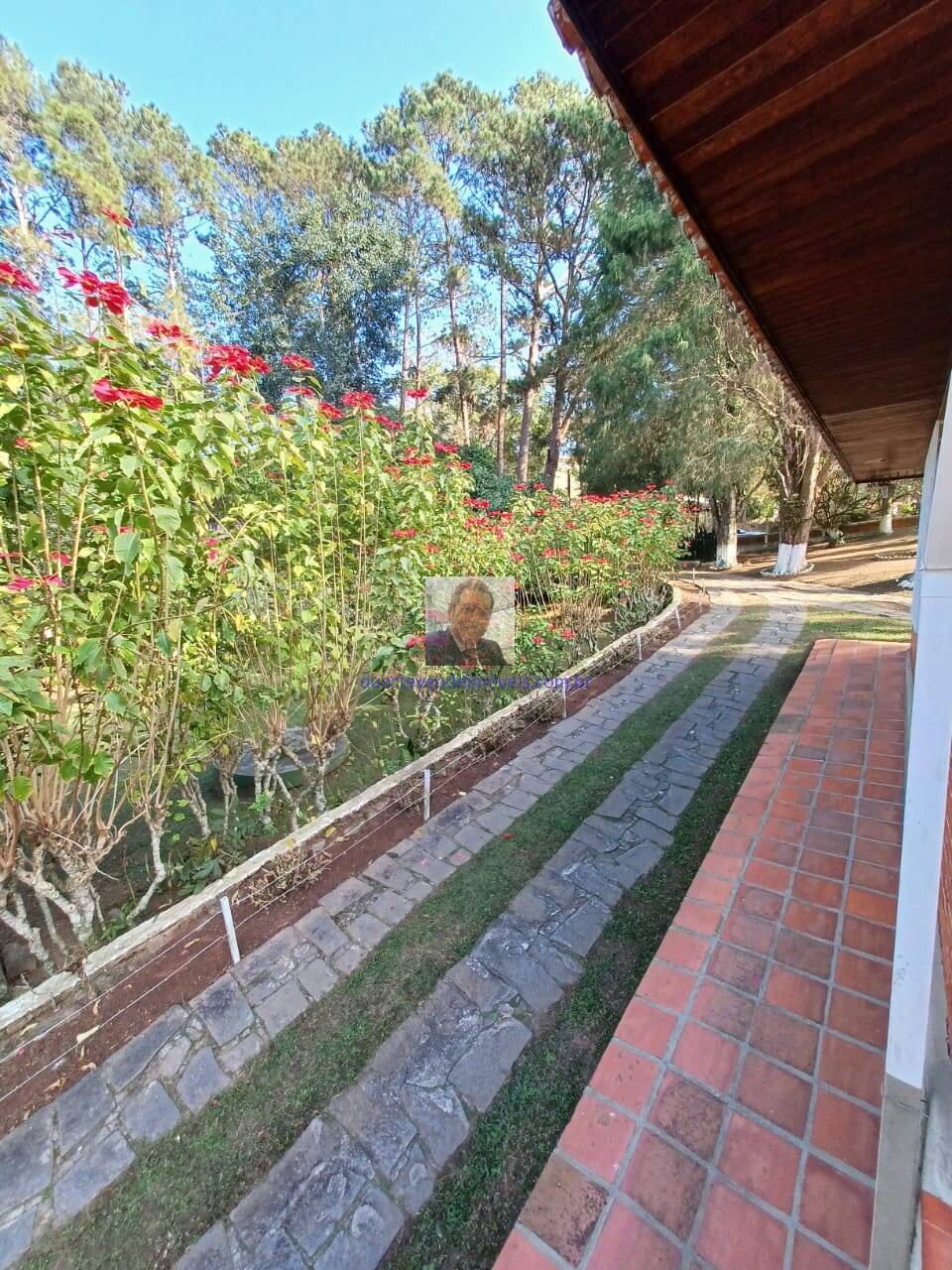 Sítio, 2 quartos, 9000 m² - Foto 3