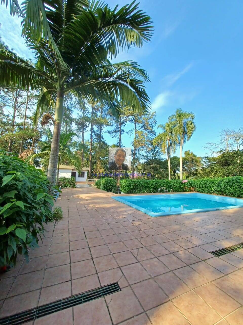 Sítio, 2 quartos, 9000 m² - Foto 25