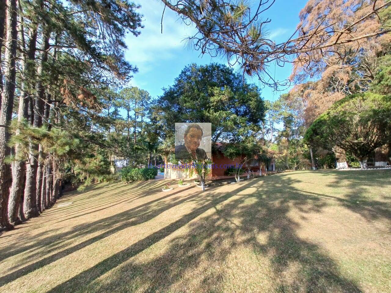 Sítio, 2 quartos, 9000 m² - Foto 31