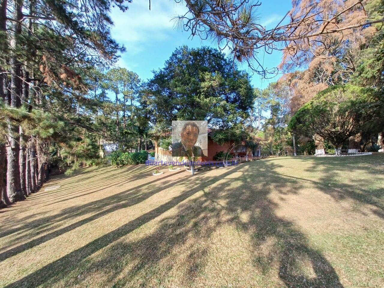 Sítio, 2 quartos, 9000 m² - Foto 32