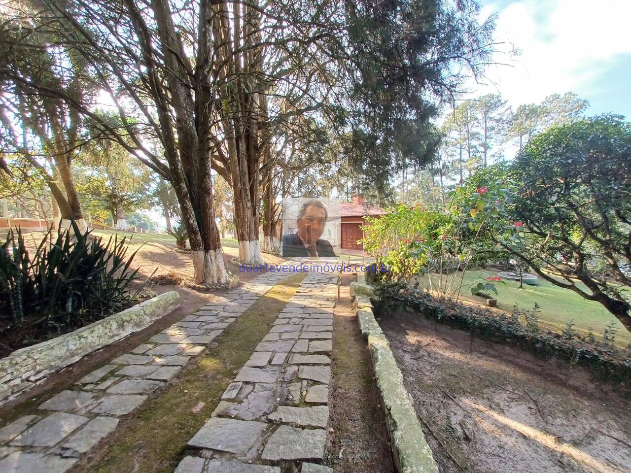 Sítio, 2 quartos, 9000 m² - Foto 35