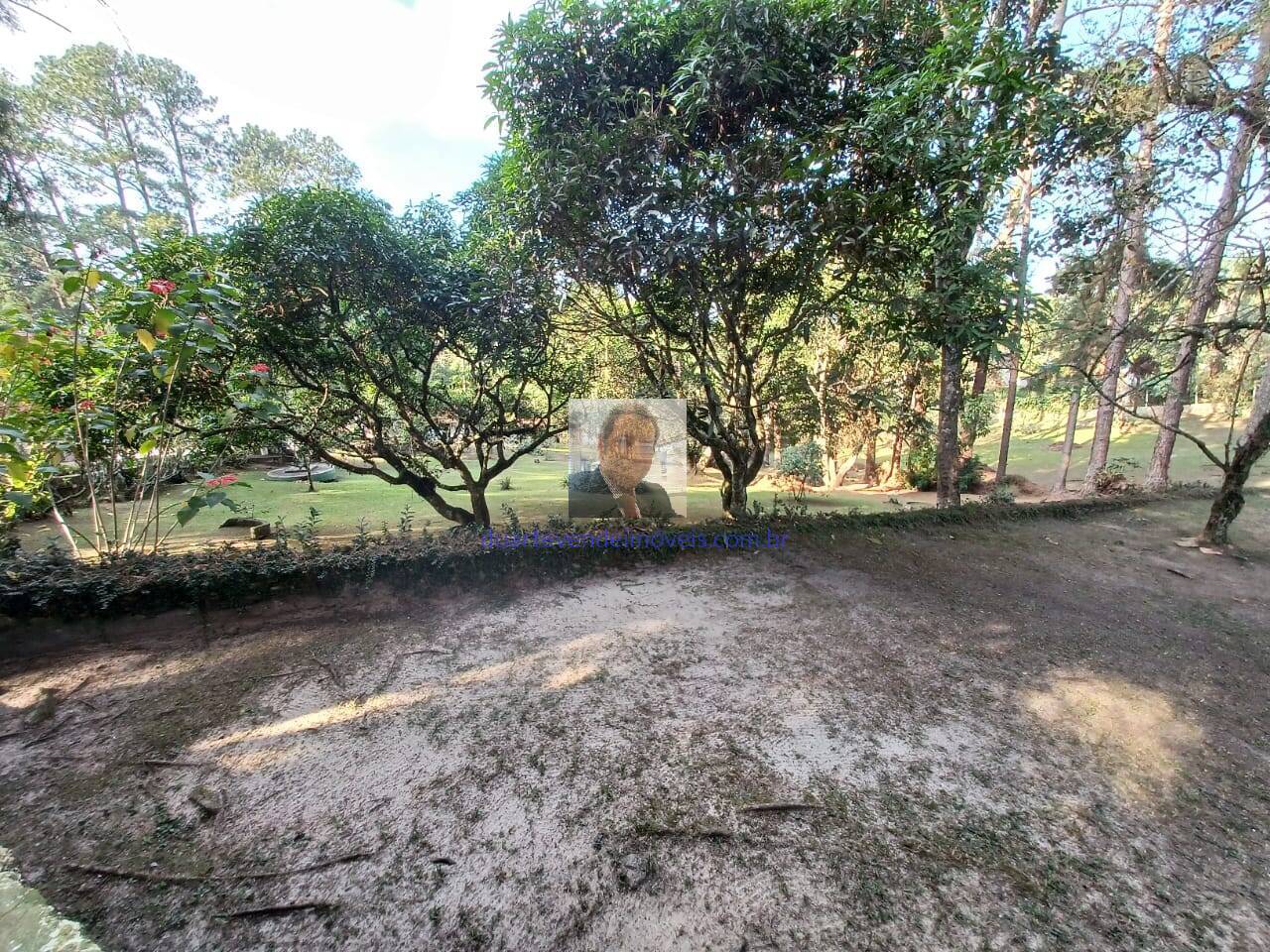 Sítio, 2 quartos, 9000 m² - Foto 36