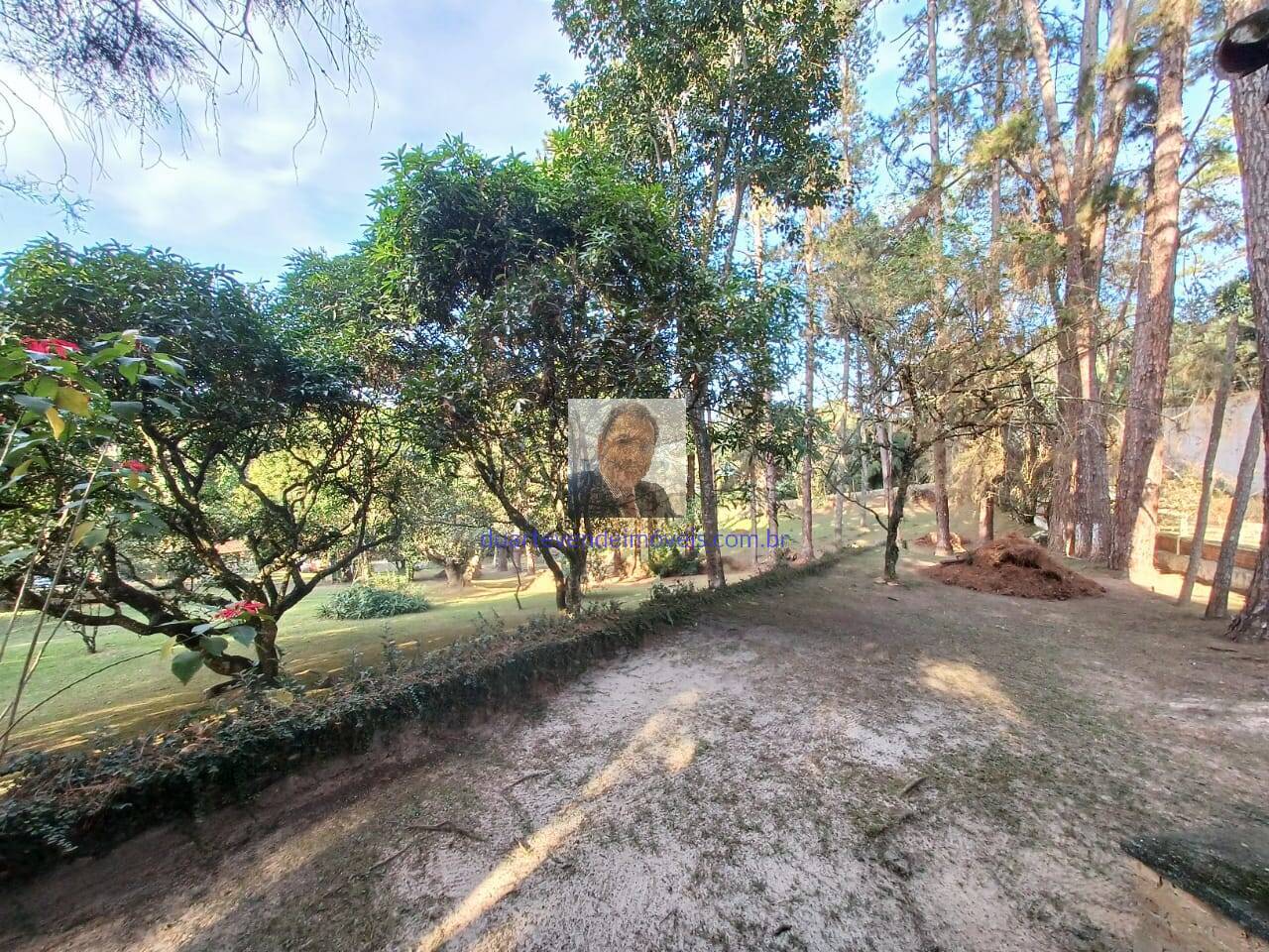 Sítio, 2 quartos, 9000 m² - Foto 37