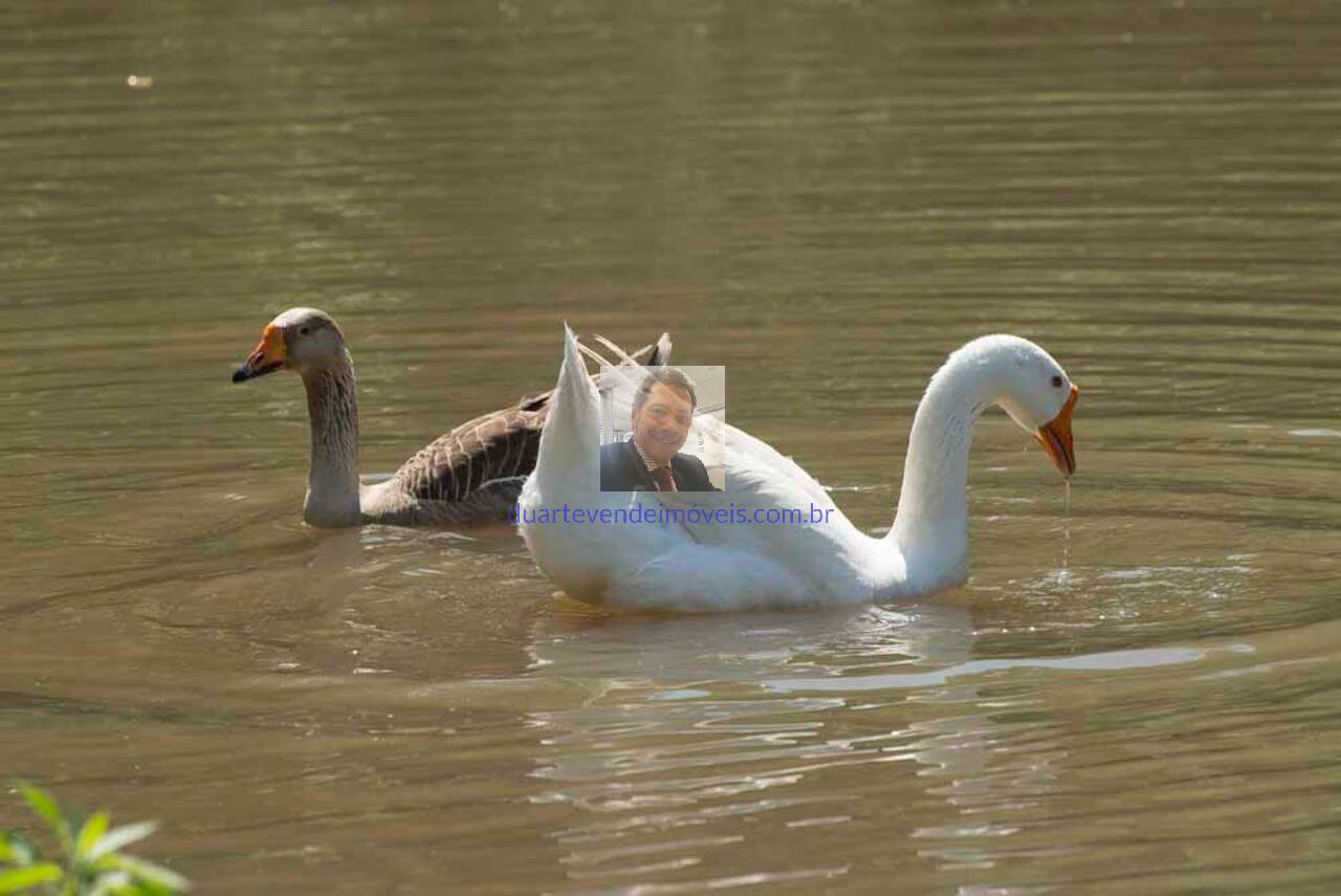 Terreno, 499 m² - Foto 65