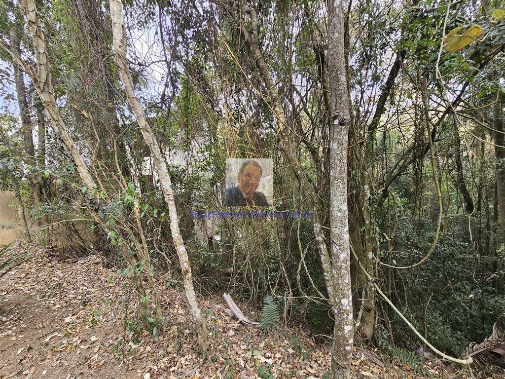 Terreno, 476 m² - Foto 2