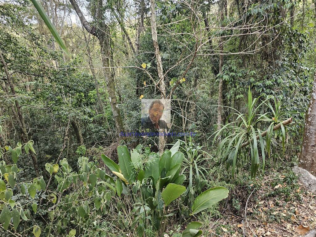 Terreno, 476 m² - Foto 3