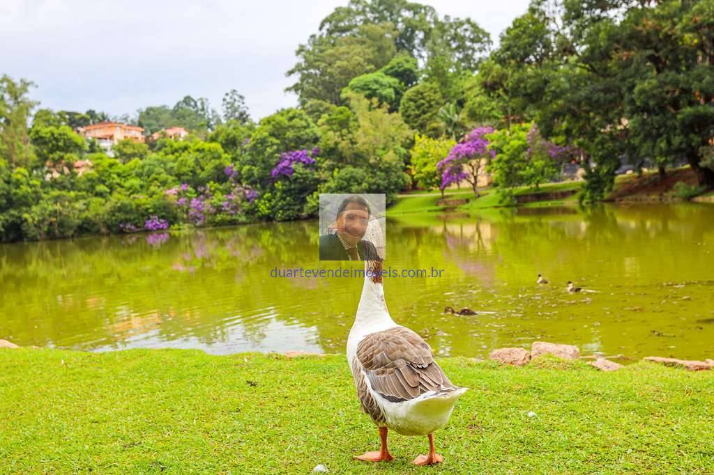 Casa de Condomínio, 4 quartos - Foto 107