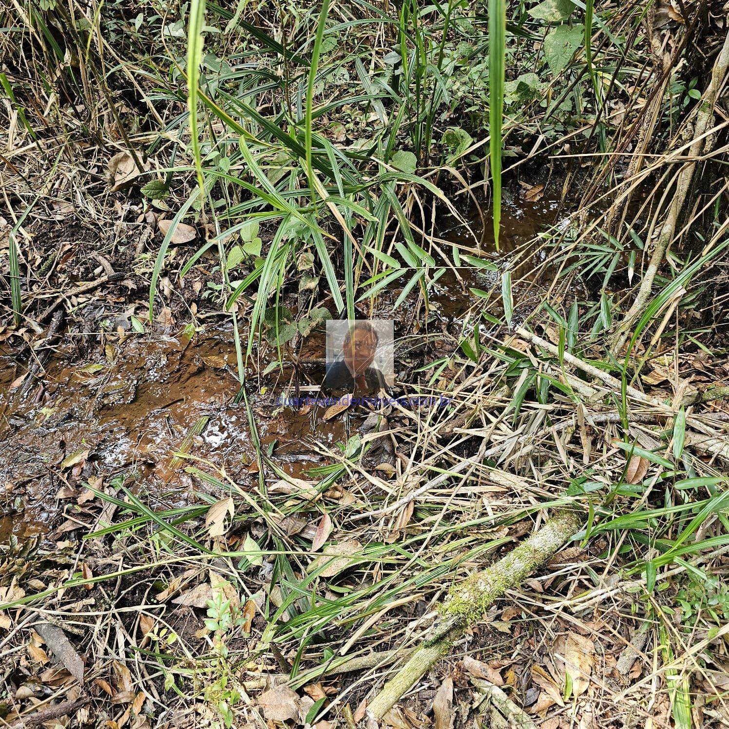 Sítio, 3 quartos, 3 hectares - Foto 4