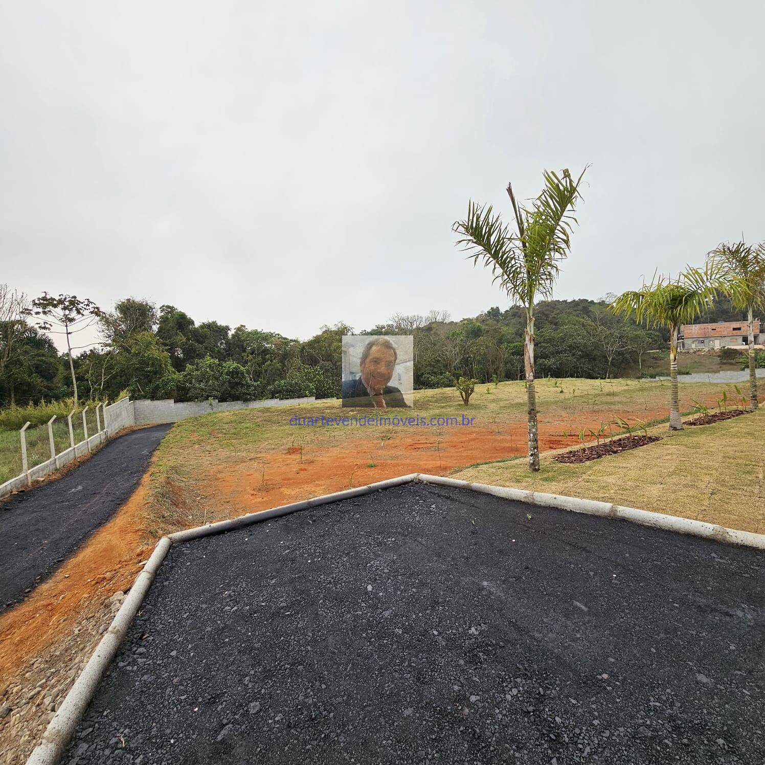 Sítio, 3 quartos, 3 hectares - Foto 15