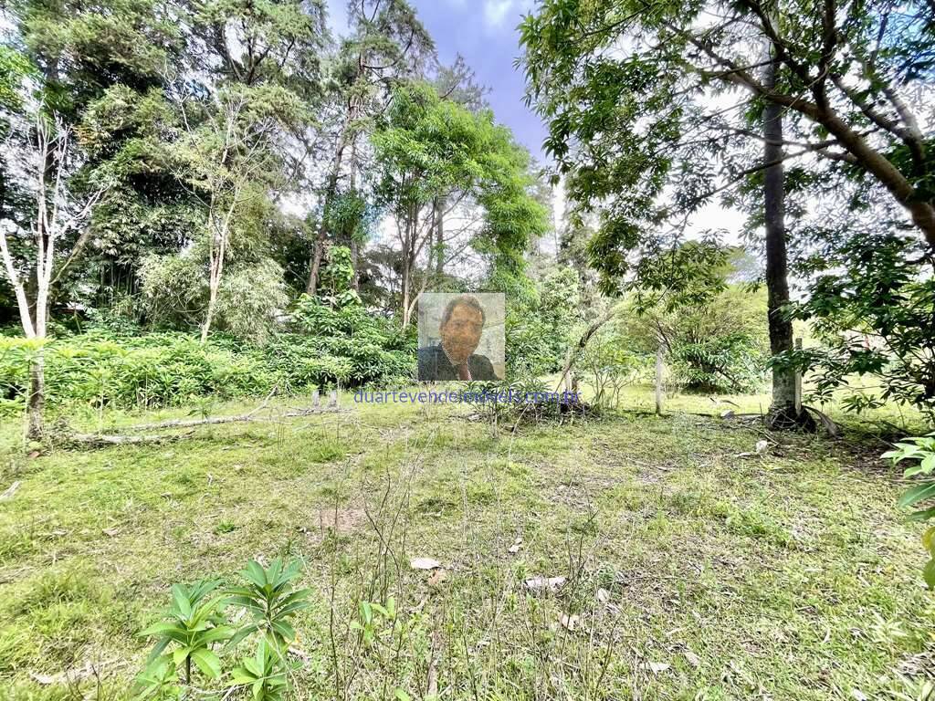 Casa, 5 quartos, 456 m² - Foto 19