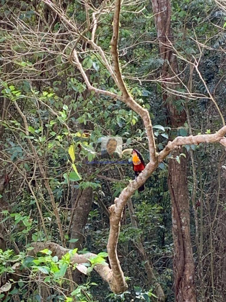 Terreno, 375 m² - Foto 24