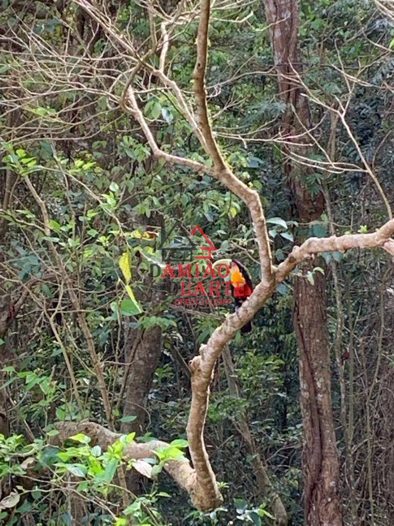 Terreno, 437 m² - Foto 27