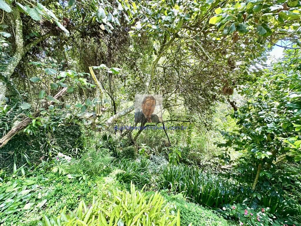 Casa, 3 quartos, 124 m² - Foto 24