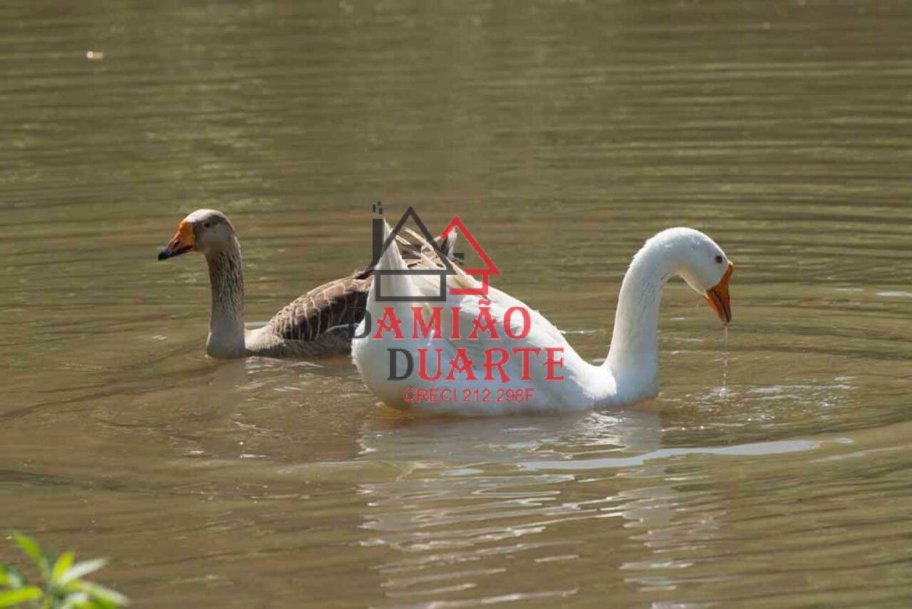 Casa de Condomínio, 3 quartos - Foto 97