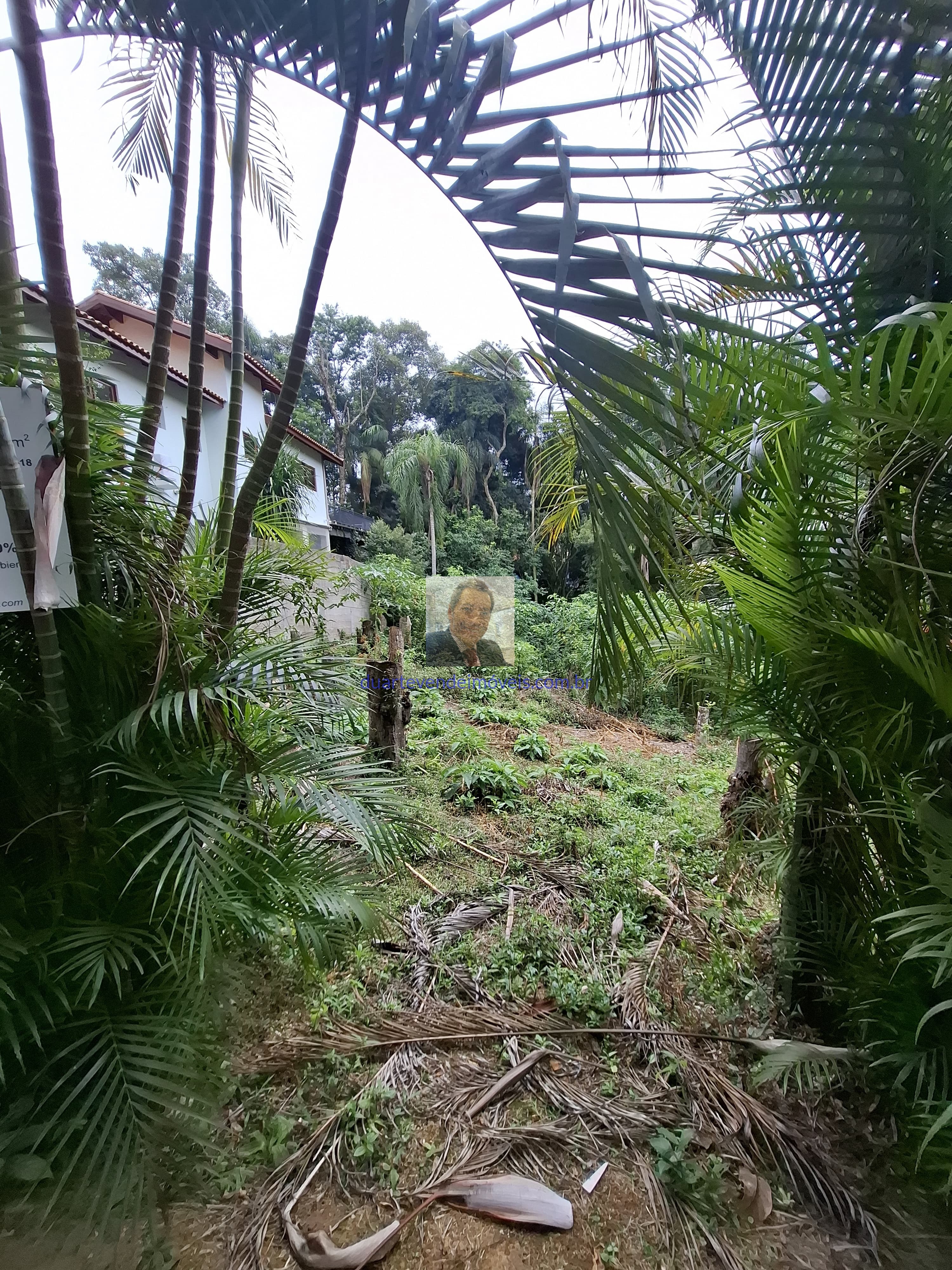 Terreno, 532 m² - Foto 4