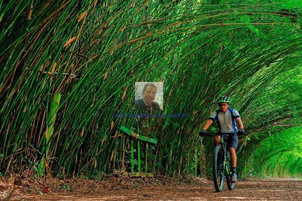 Casa, 3 quartos, 153 m² - Foto 49