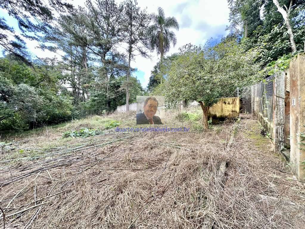Casa à venda com 3 quartos, 233m² - Foto 58