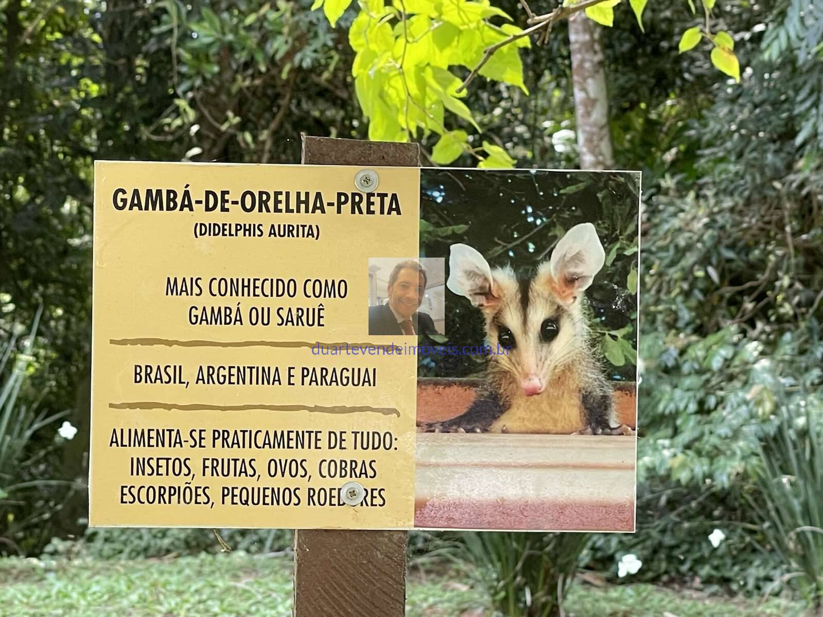 Casa de Condomínio, 2 quartos - Foto 63