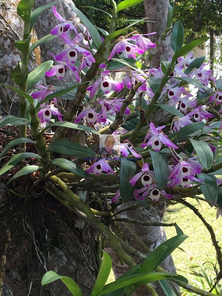 Casa de Condomínio, 2 quartos - Foto 73