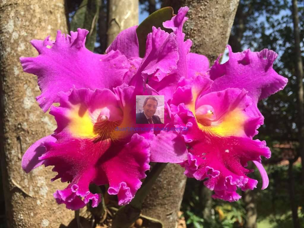 Casa de Condomínio, 2 quartos - Foto 77