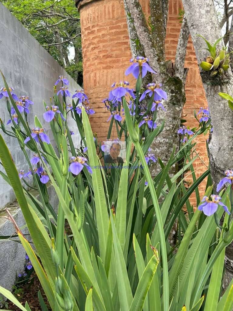 Casa de Condomínio, 2 quartos - Foto 78