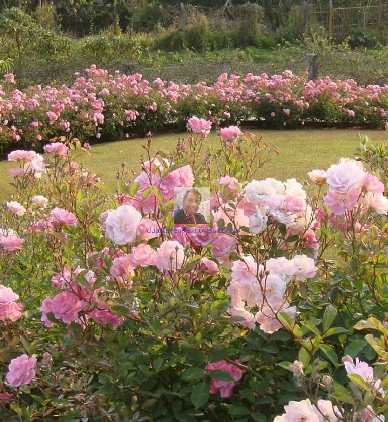 Casa de Condomínio, 2 quartos - Foto 74