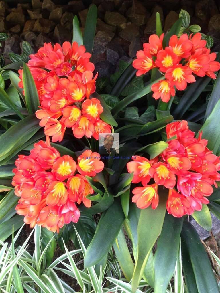 Casa de Condomínio, 2 quartos - Foto 72