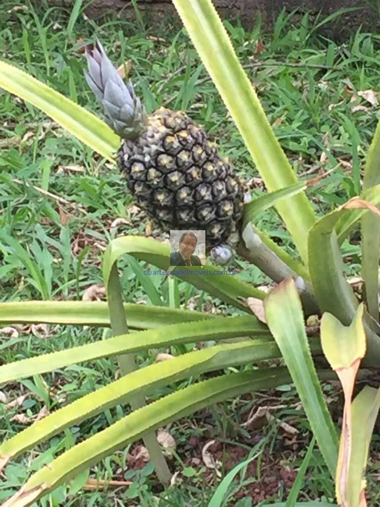 Casa de Condomínio, 2 quartos - Foto 79