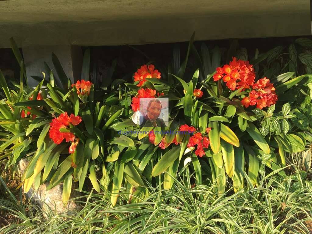 Casa de Condomínio, 2 quartos - Foto 81