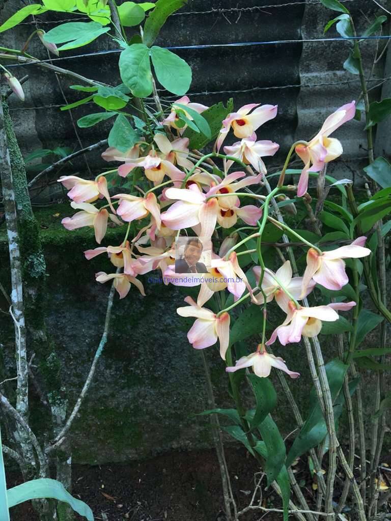 Casa de Condomínio, 2 quartos - Foto 83