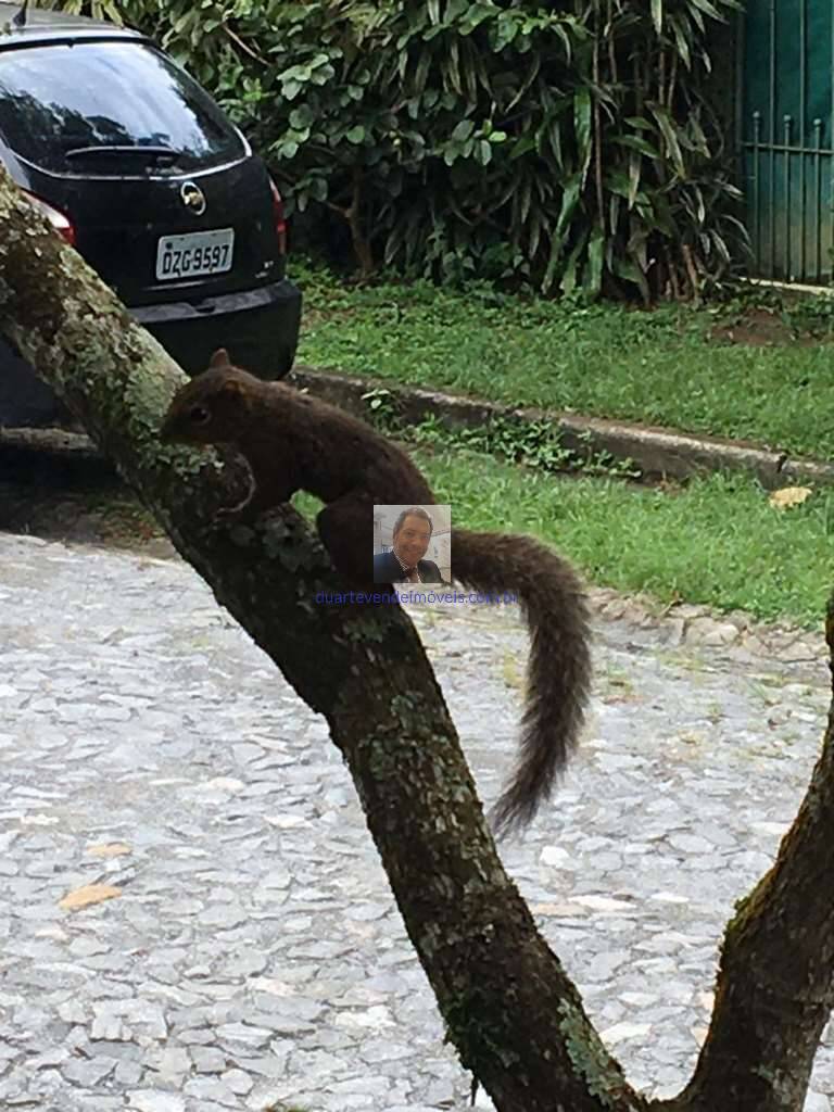 Casa de Condomínio, 2 quartos - Foto 85