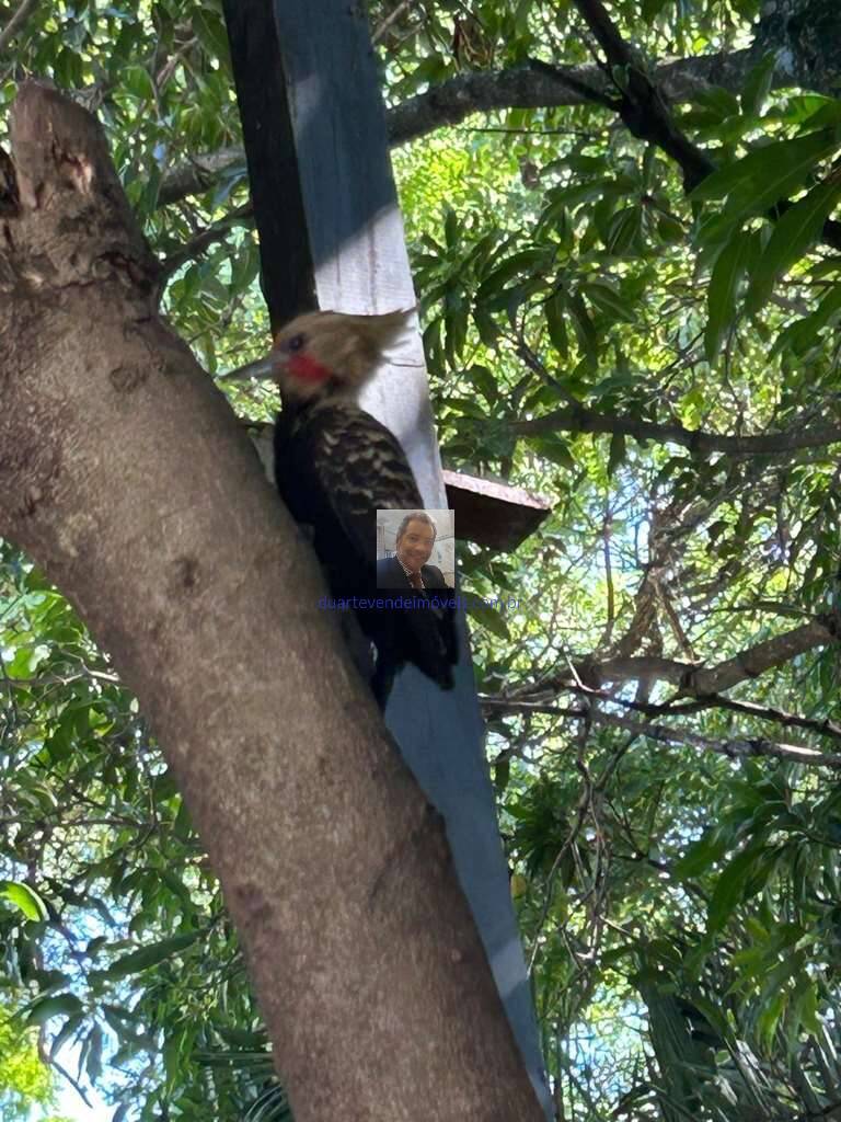 Casa de Condomínio, 2 quartos - Foto 86