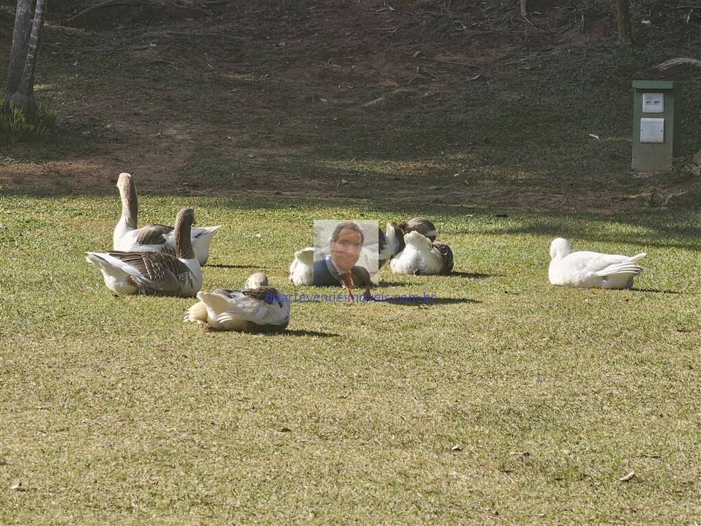 Terreno, 360 m² - Foto 92