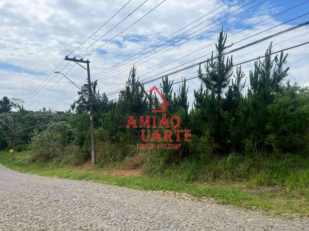 Terreno, 4973 m² - Foto 3
