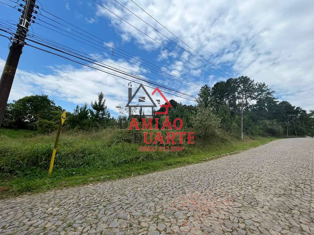 Terreno, 4973 m² - Foto 6