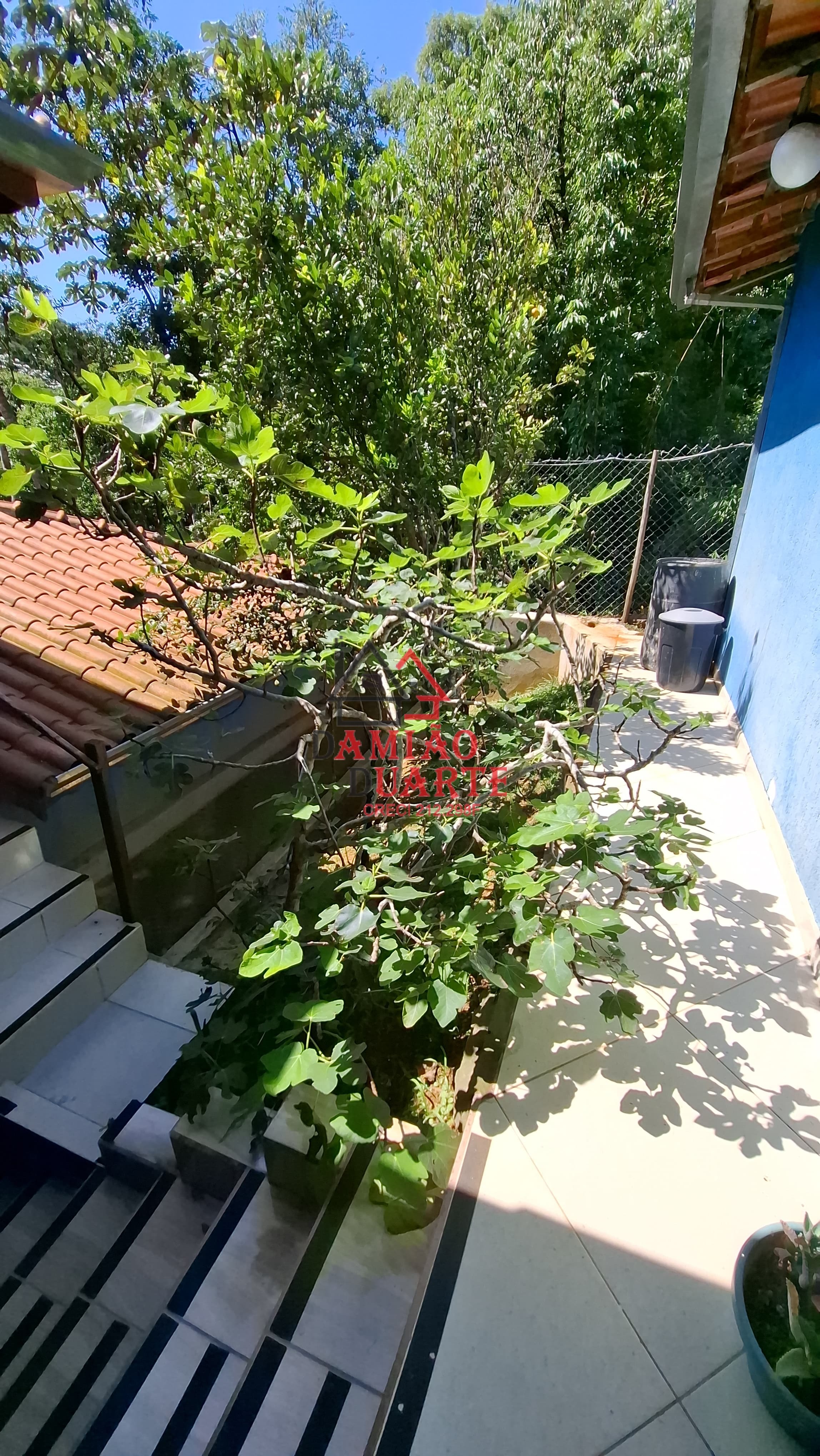 Casa, 4 quartos, 400 m² - Foto 3