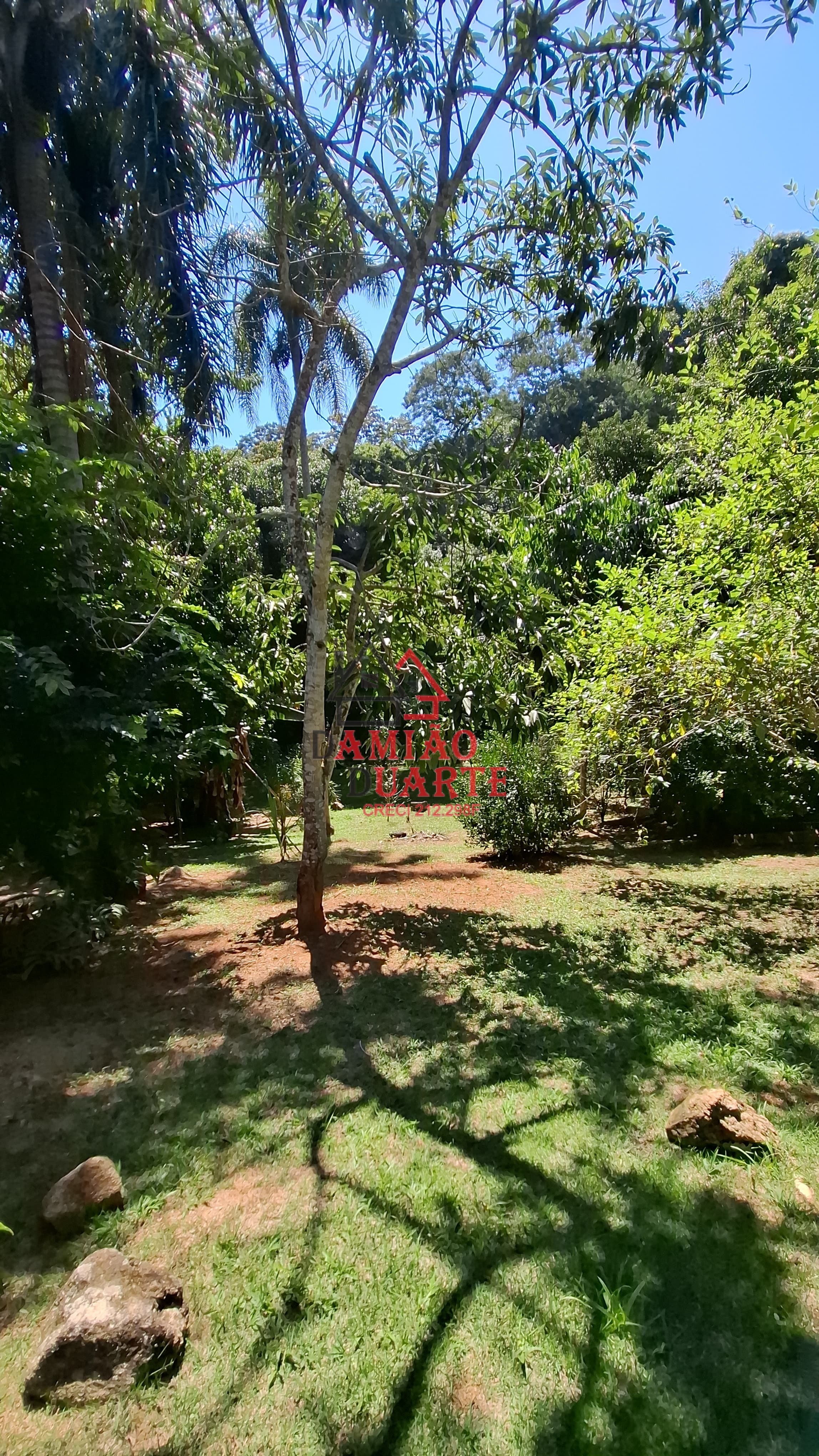 Casa, 4 quartos, 400 m² - Foto 20