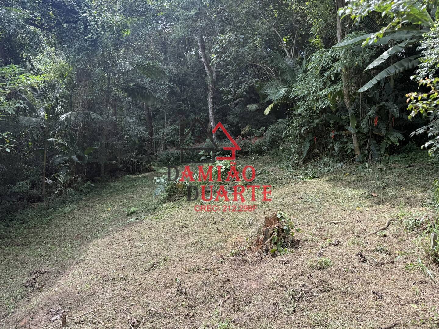 Terreno, 4500 m² - Foto 9