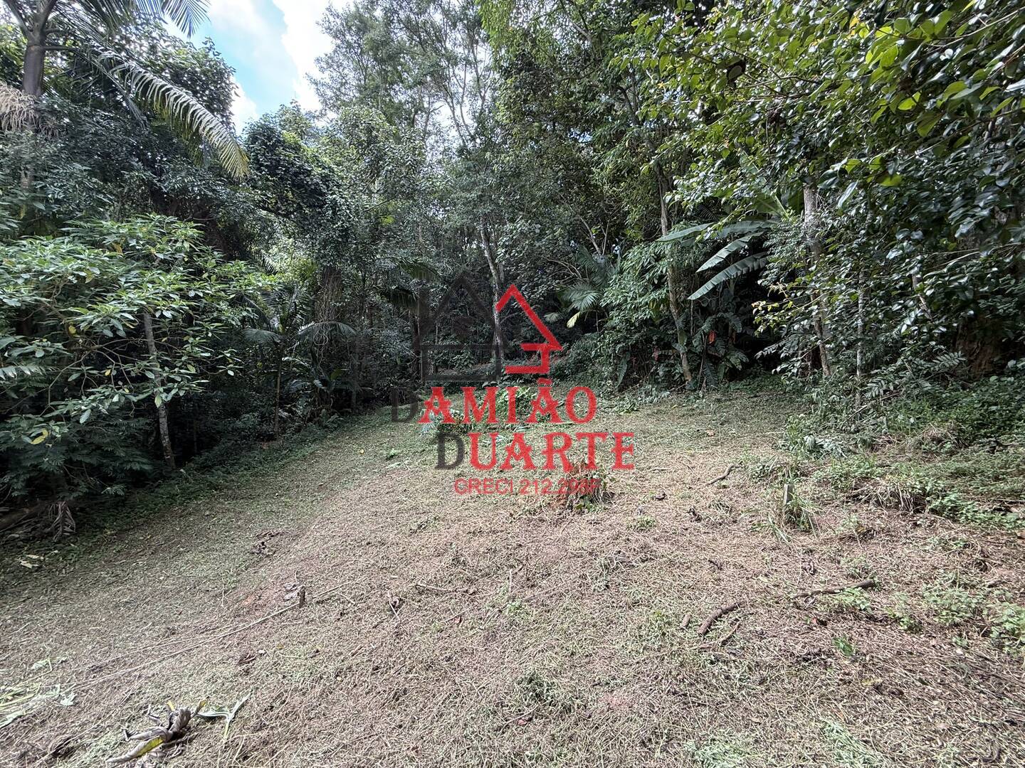 Terreno, 4500 m² - Foto 10